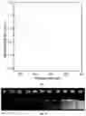 Fig. 13 - Organic luminogens