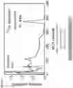 Fig. 04 - Scintillator materials comprising lithium, an alkaline earth metal, and a halide