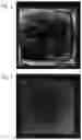 Fig. 02 - Polymerizable monomer, liquid crystal composition using polymerizable monomer, and liquid crystal display device