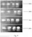 Fig. 03 - Particulate laundry softening wash additive