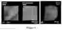 Fig. 05 - Compositions and methods for clearing tissue