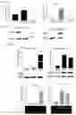 Fig. 15 - INTESTINE-CHIP: DIFFERENTIAL GENE EXPRESSION MODEL