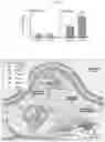 Fig. 30 - INTESTINE-CHIP: DIFFERENTIAL GENE EXPRESSION MODEL