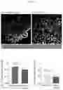 Fig. 34 - INTESTINE-CHIP: DIFFERENTIAL GENE EXPRESSION MODEL