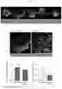 Fig. 47 - INTESTINE-CHIP: DIFFERENTIAL GENE EXPRESSION MODEL