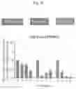 Fig. 56 - INTESTINE-CHIP: DIFFERENTIAL GENE EXPRESSION MODEL