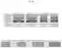 Fig. 74 - INTESTINE-CHIP: DIFFERENTIAL GENE EXPRESSION MODEL