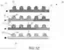 Fig. 07 - Microfluidic platform for the rapid production of organoids/spheroids for compound screening