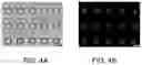 Fig. 10 - Microfluidic platform for the rapid production of organoids/spheroids for compound screening