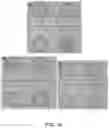 Fig. 25 - Microfluidic platform for the rapid production of organoids/spheroids for compound screening