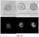 Fig. 26 - Microfluidic platform for the rapid production of organoids/spheroids for compound screening