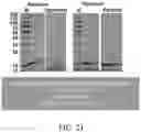 Fig. 28 - SYSTEMS AND METHODS FOR MANUFACTURING BIOLOGICALLY-PRODUCED PRODUCTS