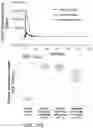 Fig. 43 - SYSTEMS AND METHODS FOR MANUFACTURING BIOLOGICALLY-PRODUCED PRODUCTS