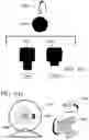 Fig. 45 - SYSTEMS AND METHODS FOR MANUFACTURING BIOLOGICALLY-PRODUCED PRODUCTS