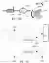 Fig. 46 - SYSTEMS AND METHODS FOR MANUFACTURING BIOLOGICALLY-PRODUCED PRODUCTS
