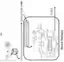 Fig. 02 - Expression of functional bacterial type I fatty acid synthase in photosynthetic hosts