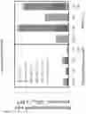 Fig. 13 - Expression of functional bacterial type I fatty acid synthase in photosynthetic hosts