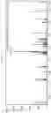 Fig. 18 - Expression of functional bacterial type I fatty acid synthase in photosynthetic hosts
