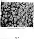 Fig. 09 - Cell-support matrix having narrowly defined uniformly vertically and non-randomly organized porosity and pore density and a method for preparation thereof