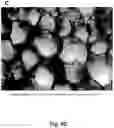 Fig. 12 - Cell-support matrix having narrowly defined uniformly vertically and non-randomly organized porosity and pore density and a method for preparation thereof