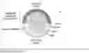 Fig. 01 - METHOD FOR REMOVAL OF YOLK