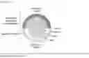 Fig. 02 - METHOD FOR REMOVAL OF YOLK