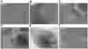 Fig. 01 - Method for producing photoreceptor cells, retinal pigmented epithelial cells, and retinal organoids