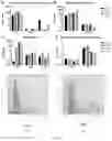 Fig. 03 - Method for producing photoreceptor cells, retinal pigmented epithelial cells, and retinal organoids