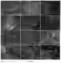 Fig. 05 - Method for producing photoreceptor cells, retinal pigmented epithelial cells, and retinal organoids