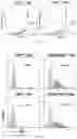 Fig. 04 - Dual chimeric antigen receptor-t cell which can be regulated, construction method therefor and use thereof