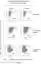 Fig. 08 - Targeted gene insertion for improved immune cells therapy
