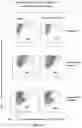 Fig. 09 - Targeted gene insertion for improved immune cells therapy