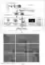 Fig. 02 - METHOD FOR PREPARING HETEROGENEOUS HEMATOPOIETIC STEM AND PROGENITOR CELLS USING NON-MOBILIZED PERIPHERAL BLOOD