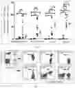 Fig. 07 - METHOD FOR PREPARING HETEROGENEOUS HEMATOPOIETIC STEM AND PROGENITOR CELLS USING NON-MOBILIZED PERIPHERAL BLOOD