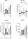 Fig. 07 - COMPOSITIONS AND METHODS FOR ENHANCING MATURATION STATES OF HEALTHY AND DISEASED CARDIOMYOCYTES