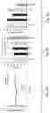 Fig. 10 - COMPOSITIONS AND METHODS FOR ENHANCING MATURATION STATES OF HEALTHY AND DISEASED CARDIOMYOCYTES