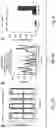Fig. 15 - COMPOSITIONS AND METHODS FOR ENHANCING MATURATION STATES OF HEALTHY AND DISEASED CARDIOMYOCYTES