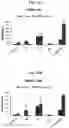 Fig. 27 - COMPOSITIONS AND METHODS FOR ENHANCING MATURATION STATES OF HEALTHY AND DISEASED CARDIOMYOCYTES