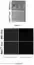 Fig. 02 - PREPARATION METHOD OF MESENCHYMAL STEM CELL-DERIVED EXOSOMES BASED ON DRUG PRETREATMENT