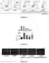 Fig. 06 - PREPARATION METHOD OF MESENCHYMAL STEM CELL-DERIVED EXOSOMES BASED ON DRUG PRETREATMENT