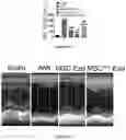 Fig. 07 - PREPARATION METHOD OF MESENCHYMAL STEM CELL-DERIVED EXOSOMES BASED ON DRUG PRETREATMENT