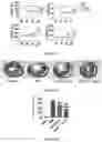 Fig. 08 - PREPARATION METHOD OF MESENCHYMAL STEM CELL-DERIVED EXOSOMES BASED ON DRUG PRETREATMENT