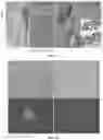 Fig. 08 - STEM CELL COMPOSITIONS AND METHODS OF PRODUCING STEM CELLS FOR THERAPEUTIC APPLICATIONS