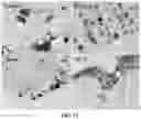 Fig. 09 - STEM CELL COMPOSITIONS AND METHODS OF PRODUCING STEM CELLS FOR THERAPEUTIC APPLICATIONS