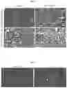 Fig. 02 - Ex-vivo culture system and methods of using same