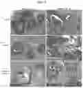 Fig. 06 - Ex-vivo culture system and methods of using same