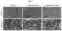 Fig. 07 - Ex-vivo culture system and methods of using same