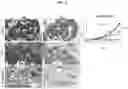 Fig. 08 - Ex-vivo culture system and methods of using same
