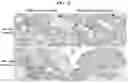 Fig. 10 - Ex-vivo culture system and methods of using same