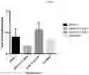Fig. 03 - AAV production using suspension adapted cells